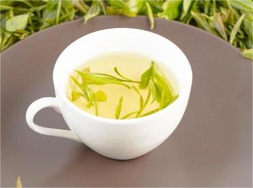 相約千島湖 2024中茶春茶大會(huì)即將盛啟