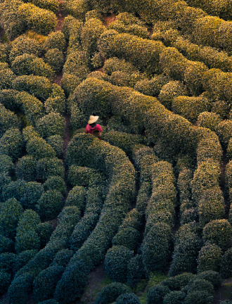 我們的服務(wù)優(yōu)勢(shì)